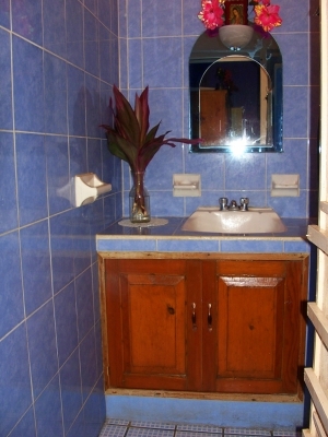 La Manzanilla Realty