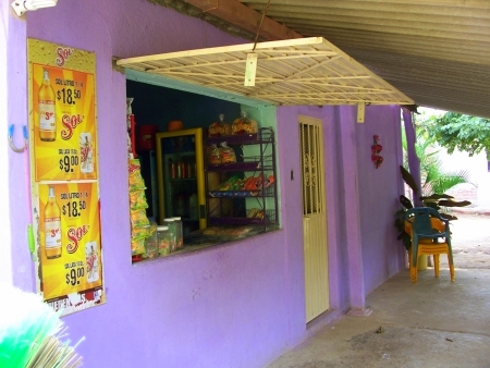 La Manzanilla Realty