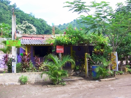 La Manzanilla Realty