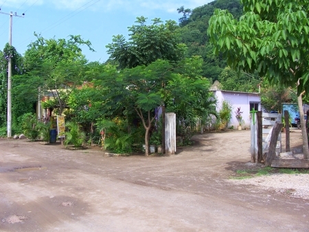 La Manzanilla Realty