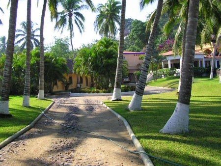 La Manzanilla Realty