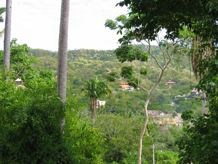 La Manzanilla Realty