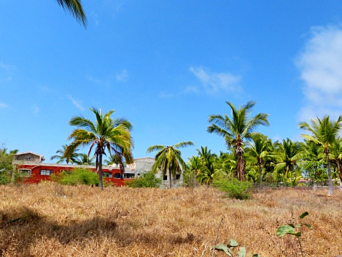 La Manzanilla Realty