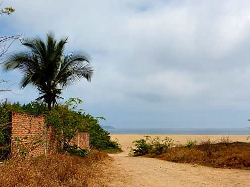 La Manzanilla Realty