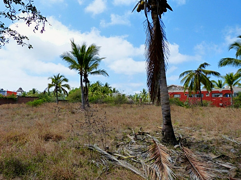 La Manzanilla Realty