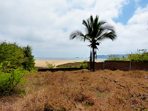 La Manzanilla Realty