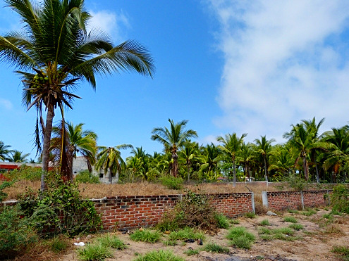 La Manzanilla Realty