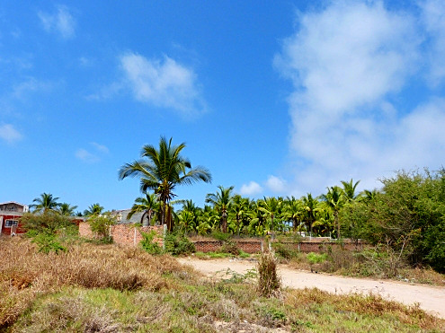 La Manzanilla Realty
