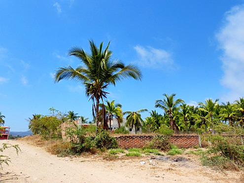 La Manzanilla Realty
