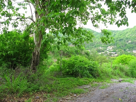 La Manzanilla Realty