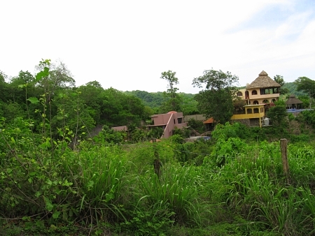La Manzanilla Realty