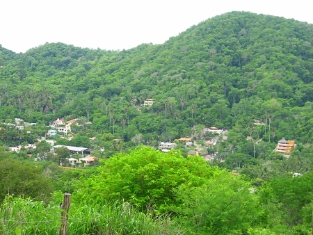 La Manzanilla Realty