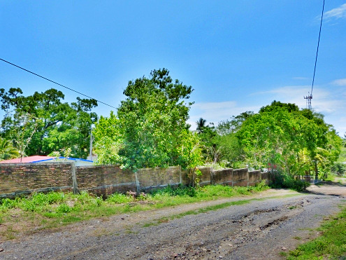 La Manzanilla Realty