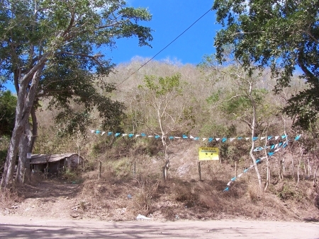 La Manzanilla Realty