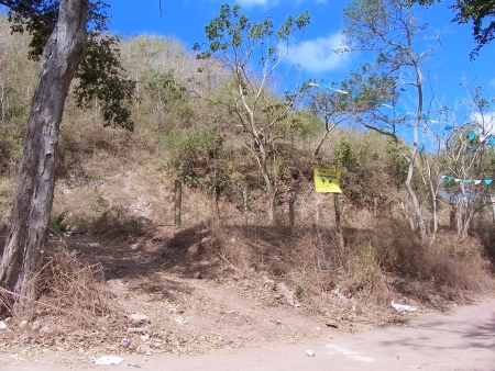 La Manzanilla Realty