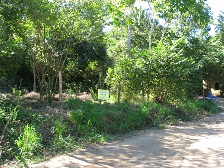 La Manzanilla Realty
