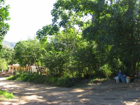 La Manzanilla Realty