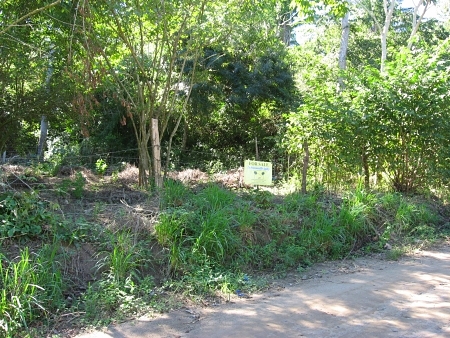 La Manzanilla Realty