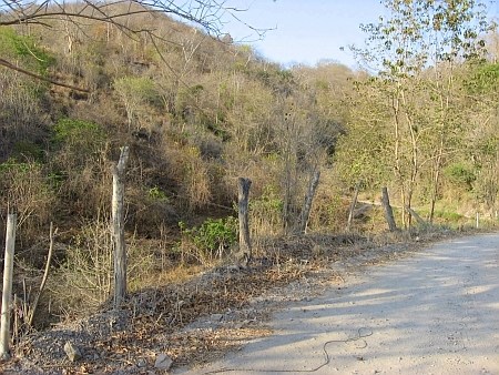 La Manzanilla Realty