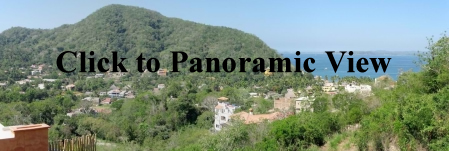La Manzanilla Realty