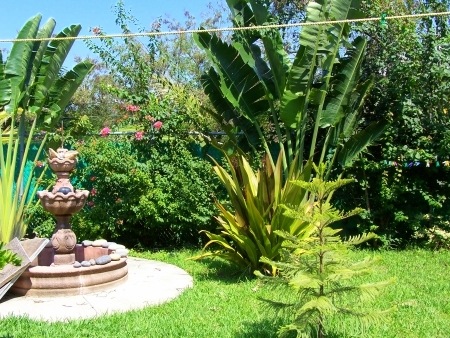 La Manzanilla Realty