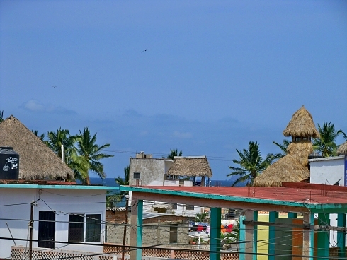 La Manzanilla Realty