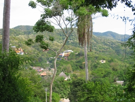 La Manzanilla Realty