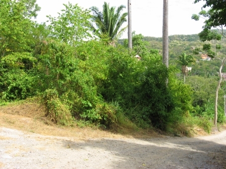 La Manzanilla Realty