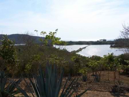 La Manzanilla Realty