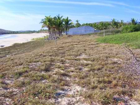 La Manzanilla Realty