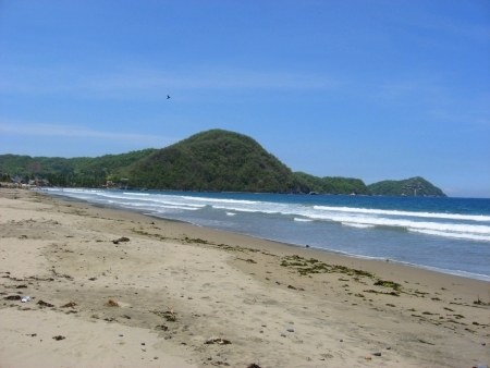 La Manzanilla Realty