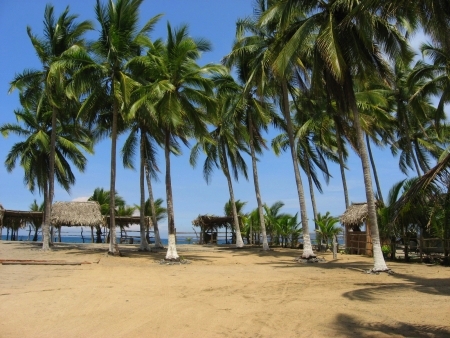 La Manzanilla Realty