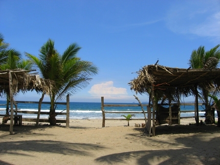 La Manzanilla Realty