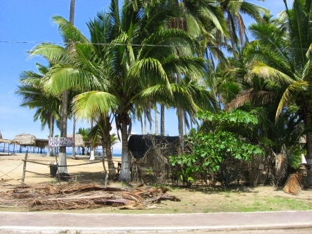La Manzanilla Realty