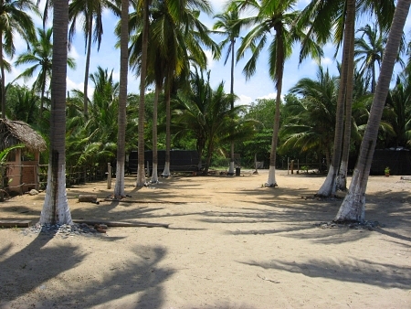 La Manzanilla Realty