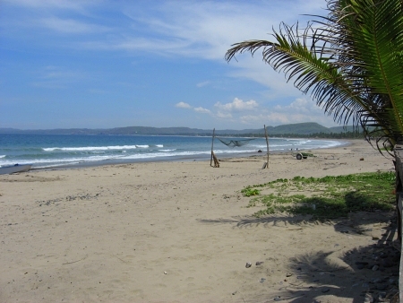 La Manzanilla Realty