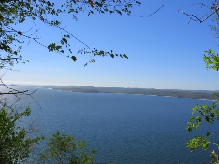 La Manzanilla Realty