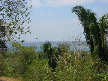 La Manzanilla Realty