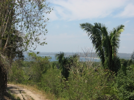 La Manzanilla Realty