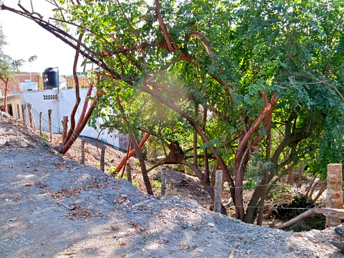 La Manzanilla Realty