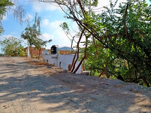 La Manzanilla Realty