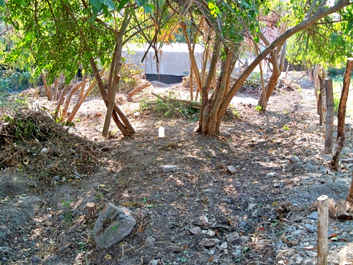 La Manzanilla Realty