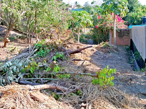 La Manzanilla Realty