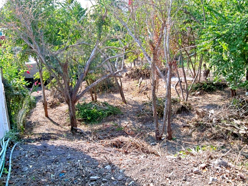 La Manzanilla Realty