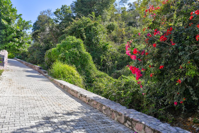 La Manzanilla Realty