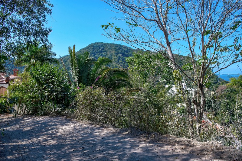 La Manzanilla Realty