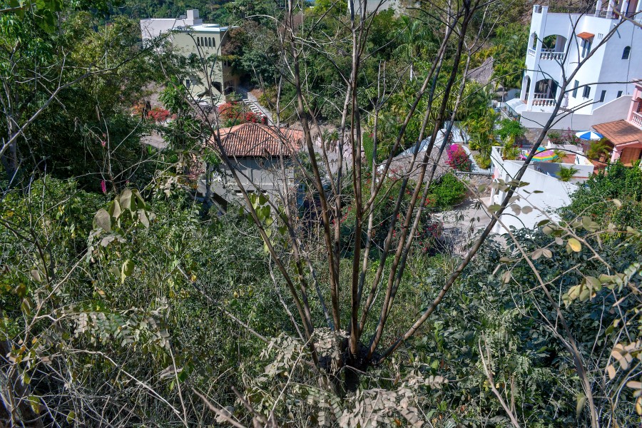 La Manzanilla Realty