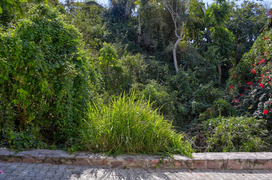 La Manzanilla Realty