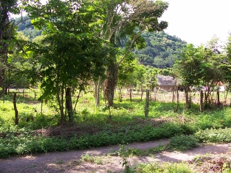 La Manzanilla Realty