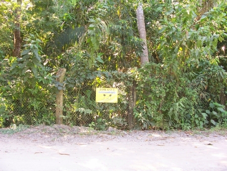 La Manzanilla Realty
